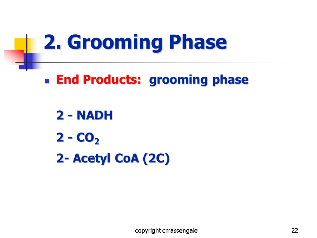 22 2. Grooming Phase End Products: grooming phase 2 - NADH 2 - CO2